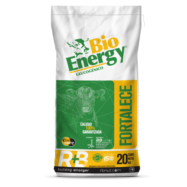 01 BIOENERGY