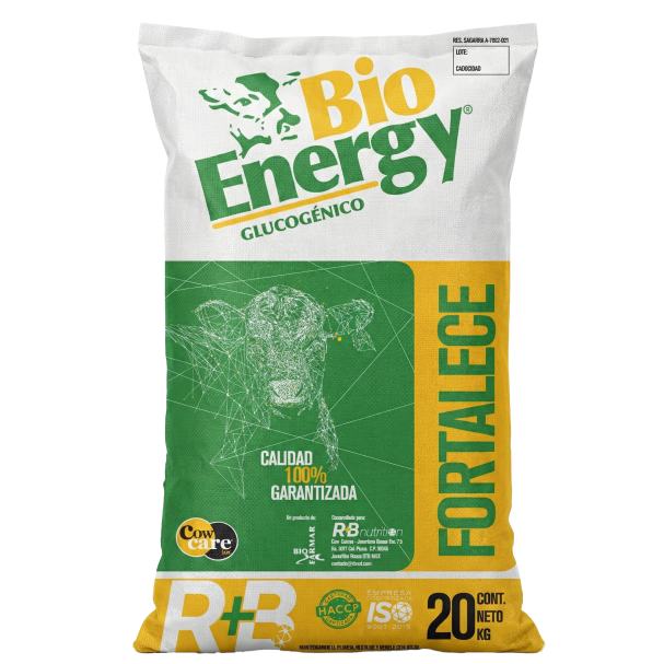 Bio_Energy modificado