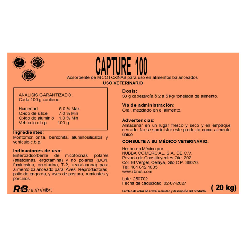 CAPTURE 100_2