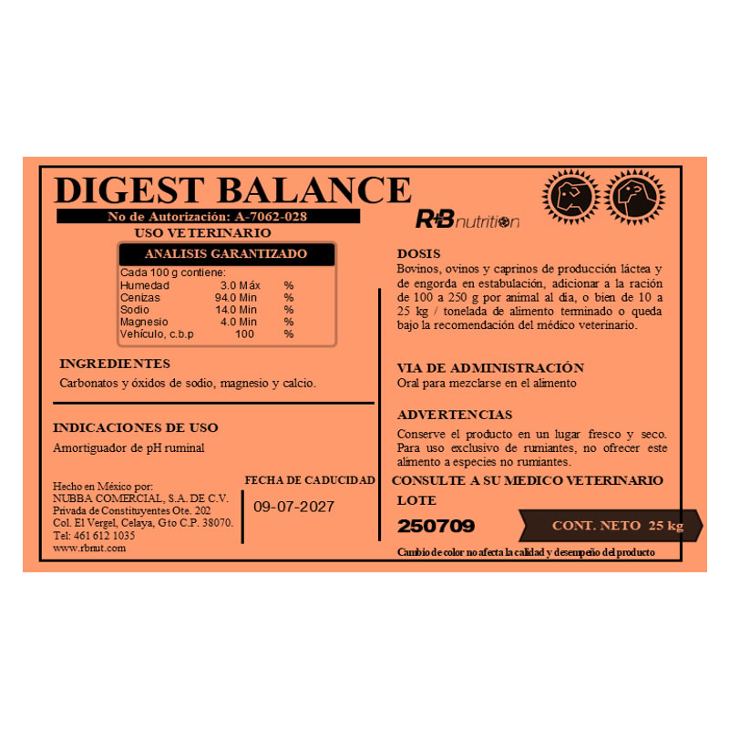 dbalance_2