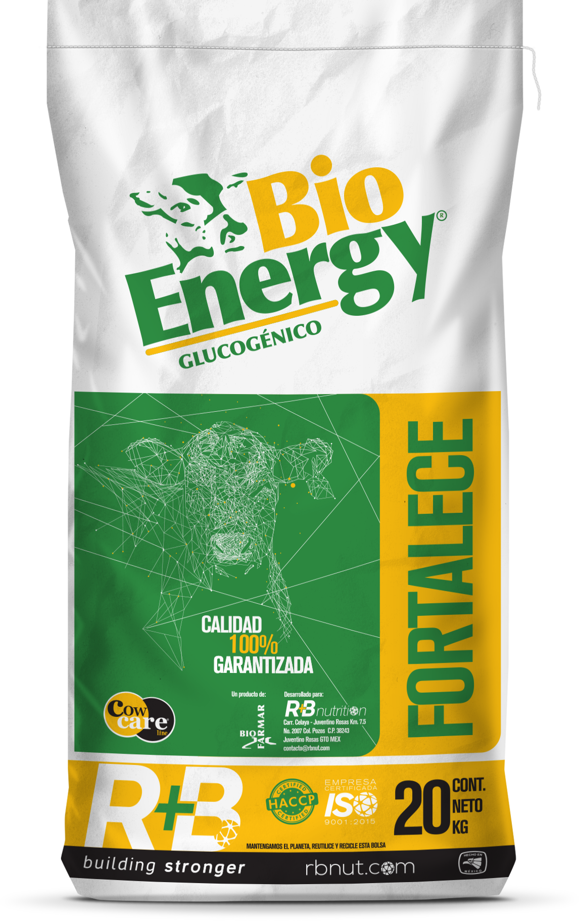 01 BIOENERGY
